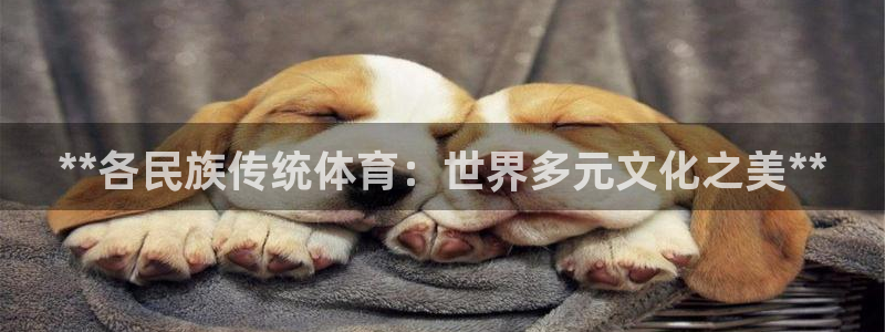 星游娱乐下载地址